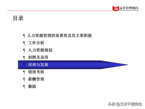 知名咨詢公司客戶案例 100頁人力資源管理的全面提升,系統(tǒng)完整