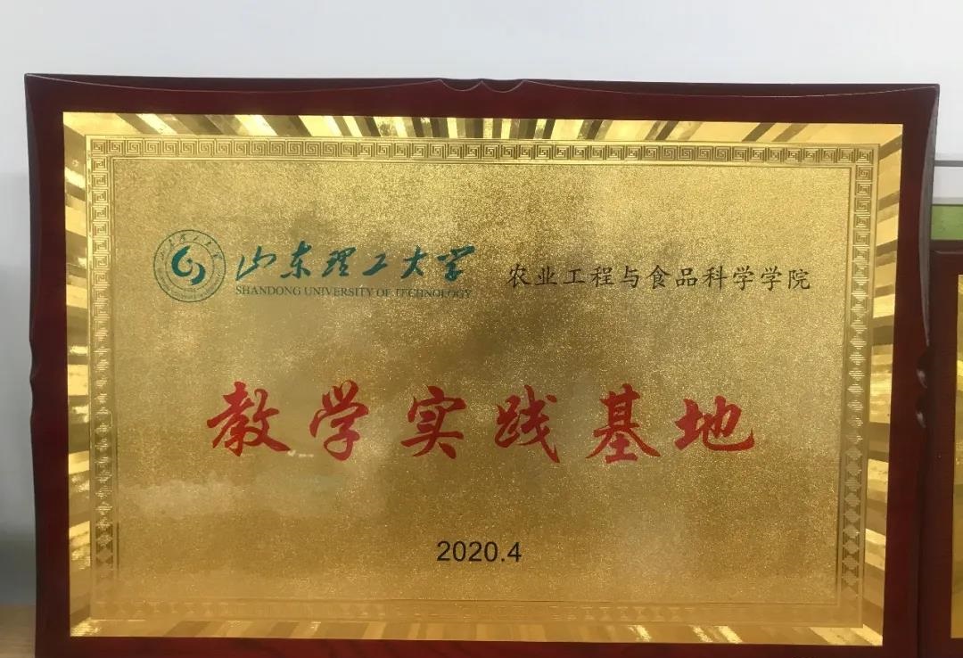 青島高新區企業與山東理工大學攜手共進，共繪影視策劃新藍圖